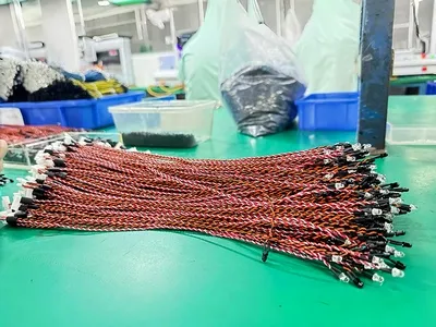 Appliance Wire Harness