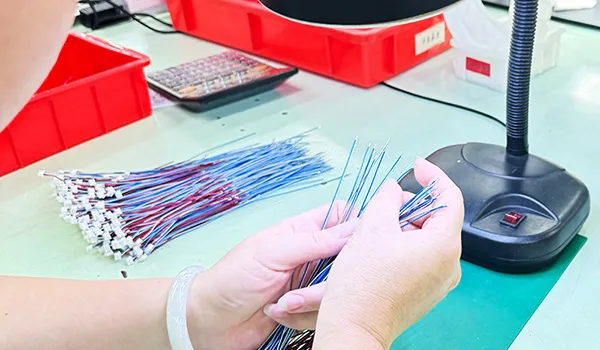 Customization Options